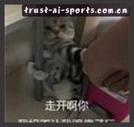 黄磊
